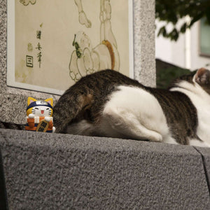MEGA CAT PROJECT NARUTO: Nyaruto! Maneki-neko Fortune