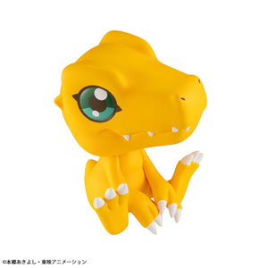 Lookup: Digimon Adventure - Agumon (Resale)