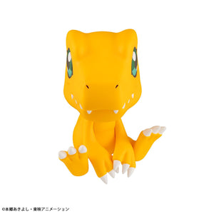 Lookup: Digimon Adventure - Agumon (Resale)