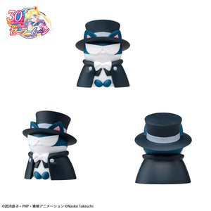 MEGA CAT PROJECT: Sailor Moon "Sainya Moon - In the Name of the Meoown!" 2024 ver.