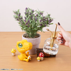 Lookup: Digimon Adventure - Agumon (Resale)