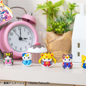MEGA CAT PROJECT: Sailor Moon "Sainya Moon - In the Name of the Meoown!" 2024 ver.