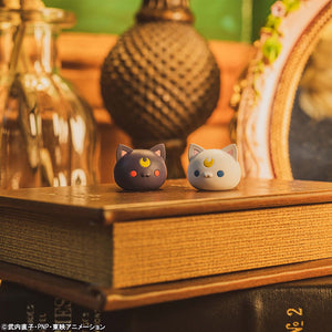 MEGA CAT PROJECT: Sailor Moon - "Sainya Moon - In the Name of the Meoown!"