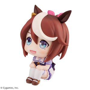 Lookup: Uma Musume: Pretty Derby - Tokai Teio