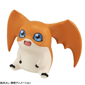 Lookup: Digimon Adventure - Patamon (Repeat)