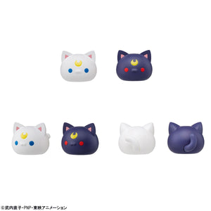 MEGA CAT PROJECT: Sailor Moon - "Sainya Moon - In the Name of the Meoown!"