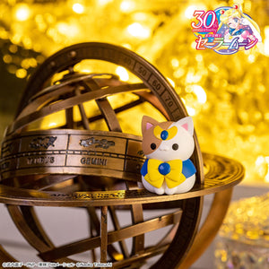 MEGA CAT PROJECT: Sailor Moon - "Sainya Moon - In the Name of the Meoown!" 2