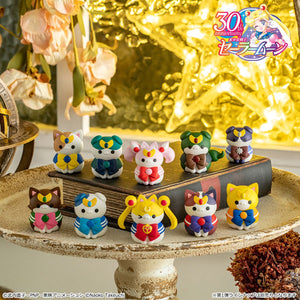 MEGA CAT PROJECT: Sailor Moon - "Sainya Moon - In the Name of the Meoown!" 2