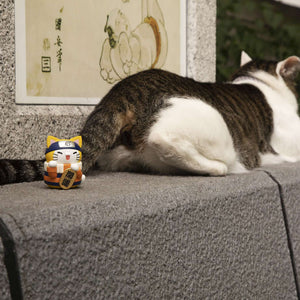 MEGA CAT PROJECT NARUTO: Nyaruto! Maneki-neko Fortune