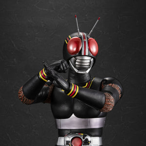 Ultimate Article: Kamen Rider BLACK