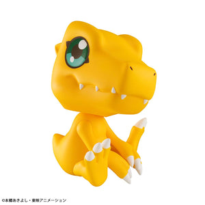 Lookup: Digimon Adventure - Agumon (Resale)