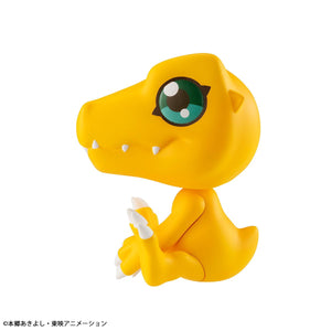 Lookup: Digimon Adventure - Agumon (Resale)