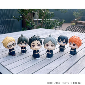 Lookup: Haikyu!! - Koshi Sugawara