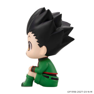 Lookup: HUNTER×HUNTER - Gon Freecss