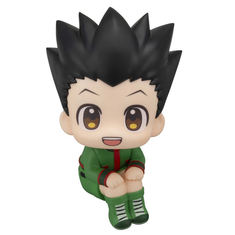 Lookup: HUNTER×HUNTER - Gon Freecss