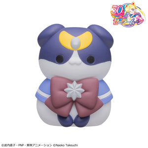 MEGA CAT PROJECT: Sailor Moon - "Sainya Moon - In the Name of the Meoown!" 2